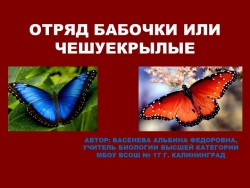 Презентация по биологии "Бабочки" (6 класс). - Класс учебник | Академический школьный учебник скачать | Сайт школьных книг учебников uchebniki.org.ua