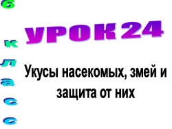 Презентация 5 класс по ОБЖ:"Укусы насекомых, змей и защита от них"! - Класс учебник | Академический школьный учебник скачать | Сайт школьных книг учебников uchebniki.org.ua