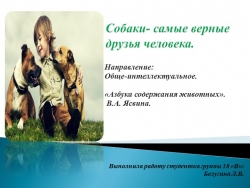 Презентация к внеурочному занятию "Собаки - самые верные друзья" - Класс учебник | Академический школьный учебник скачать | Сайт школьных книг учебников uchebniki.org.ua