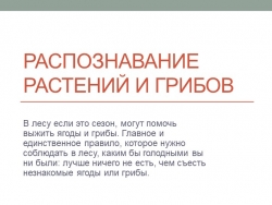 Презентация по ОБЖ на тему "Распознавание растений и грибов" - Класс учебник | Академический школьный учебник скачать | Сайт школьных книг учебников uchebniki.org.ua