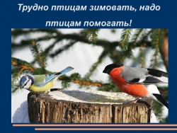 Презентация "Трудно птицам зимовать, надо птицам помогать" к внеклассному мероприятию - Класс учебник | Академический школьный учебник скачать | Сайт школьных книг учебников uchebniki.org.ua