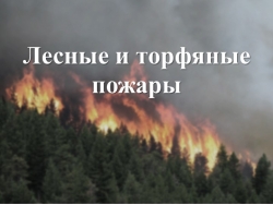 Презентация "Лесные и торфяные пожары" 7 класс - Класс учебник | Академический школьный учебник скачать | Сайт школьных книг учебников uchebniki.org.ua