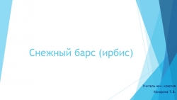 Презентация по окружающему миру на тему Животные из Красной книги 4 класс - Класс учебник | Академический школьный учебник скачать | Сайт школьных книг учебников uchebniki.org.ua