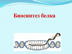 Презентация биосинтез белка 9 класс - Класс учебник | Академический школьный учебник скачать | Сайт школьных книг учебников uchebniki.org.ua