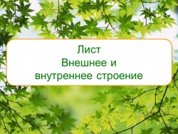 "Строение и функции листа" - Класс учебник | Академический школьный учебник скачать | Сайт школьных книг учебников uchebniki.org.ua