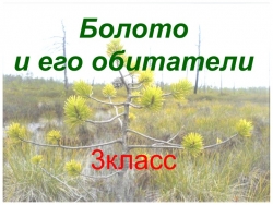 Презентация по окружающему миру "Болота и его обитатели" .3 класс - Класс учебник | Академический школьный учебник скачать | Сайт школьных книг учебников uchebniki.org.ua