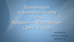 Презентация по биологии на тему "Пчелы. Иерархия и образ жизни пчел". - Класс учебник | Академический школьный учебник скачать | Сайт школьных книг учебников uchebniki.org.ua