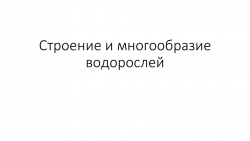 Презентация по теме "Строение и многообразие водорослей" (7 класс) - Класс учебник | Академический школьный учебник скачать | Сайт школьных книг учебников uchebniki.org.ua