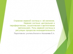 Презентация на тему "Нервная система" - Класс учебник | Академический школьный учебник скачать | Сайт школьных книг учебников uchebniki.org.ua