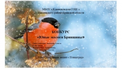 Презентация "Покормите птиц зимой" - Класс учебник | Академический школьный учебник скачать | Сайт школьных книг учебников uchebniki.org.ua