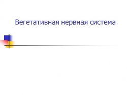 Презентация по биологии 8 класс по теме "Вегетативная нервная система" - Класс учебник | Академический школьный учебник скачать | Сайт школьных книг учебников uchebniki.org.ua