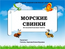 Презентация к проекту для 1 класса "Морские свинки" - Класс учебник | Академический школьный учебник скачать | Сайт школьных книг учебников uchebniki.org.ua