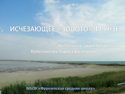 Презентация "Исчезающее золото Фрунзе" - Класс учебник | Академический школьный учебник скачать | Сайт школьных книг учебников uchebniki.org.ua