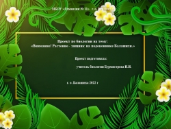 Проект по биологии "Внимание! Растение - хищник на подоконнике Балашихи" - Класс учебник | Академический школьный учебник скачать | Сайт школьных книг учебников uchebniki.org.ua