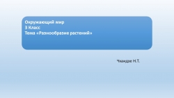 Презентация к уроку окружающий мир на тему "Многообразие растений" ( 3 класс) - Класс учебник | Академический школьный учебник скачать | Сайт школьных книг учебников uchebniki.org.ua