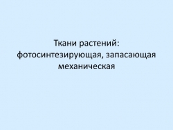 Презентация по биологии на тему "Ткани растений: фотосинтезирующая, запасающая механическая" (6 класс) - Класс учебник | Академический школьный учебник скачать | Сайт школьных книг учебников uchebniki.org.ua