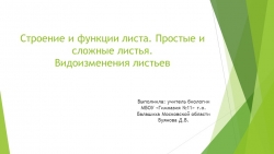 Презентация по теме "Строение и функции листа. Простые и сложные листья. Видоизменение листьев" - Класс учебник | Академический школьный учебник скачать | Сайт школьных книг учебников uchebniki.org.ua