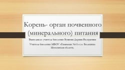 Презентация по теме "Корень- орган почвенного (минерального) питания - Класс учебник | Академический школьный учебник скачать | Сайт школьных книг учебников uchebniki.org.ua