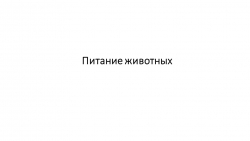 Презентация к уроку "Как питаются разные животные?" (5 класс) - Класс учебник | Академический школьный учебник скачать | Сайт школьных книг учебников uchebniki.org.ua