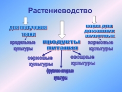 Презентация "Растениеводство и животноводство". - Класс учебник | Академический школьный учебник скачать | Сайт школьных книг учебников uchebniki.org.ua