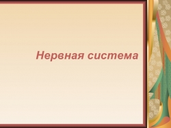 Презентация на тему урока "Центральная нервная система" 9 класс - Класс учебник | Академический школьный учебник скачать | Сайт школьных книг учебников uchebniki.org.ua