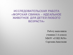 Презентация внеурочной деятельности "Морская свинка - идеальное животное для детей любого возраста". - Класс учебник | Академический школьный учебник скачать | Сайт школьных книг учебников uchebniki.org.ua