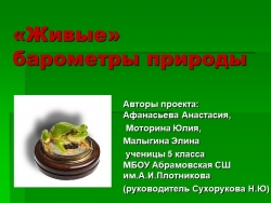 Исследовательская работа по географии на тему "Живые барометры" - Класс учебник | Академический школьный учебник скачать | Сайт школьных книг учебников uchebniki.org.ua