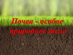 Презентация по географии на тему "Почвы - "особое природное тело". География почв России" - Класс учебник | Академический школьный учебник скачать | Сайт школьных книг учебников uchebniki.org.ua