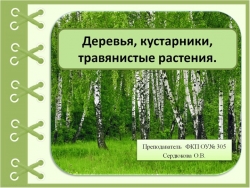 Презентация на тему "Деревья, кустарники, травянистые растения" - Класс учебник | Академический школьный учебник скачать | Сайт школьных книг учебников uchebniki.org.ua