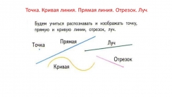 Презентация по математике "Точка. Кривая линия. Прямая линия. Отрезок. Луч." (1 класс) - Класс учебник | Академический школьный учебник скачать | Сайт школьных книг учебников uchebniki.org.ua