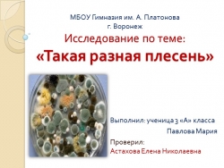 Презентация на тему "Такая разная плесень" - Класс учебник | Академический школьный учебник скачать | Сайт школьных книг учебников uchebniki.org.ua