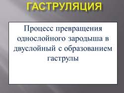 Презентация по биологии на тему "Гаструляция" 9 класс - Класс учебник | Академический школьный учебник скачать | Сайт школьных книг учебников uchebniki.org.ua