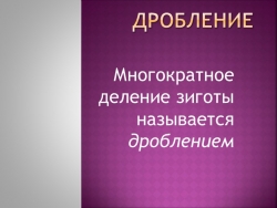 Презентация по биологии на тему "Дробление" 9 класс - Класс учебник | Академический школьный учебник скачать | Сайт школьных книг учебников uchebniki.org.ua