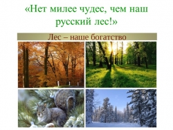 Презентация к классному часу "Русский лес полон чудес" - Класс учебник | Академический школьный учебник скачать | Сайт школьных книг учебников uchebniki.org.ua