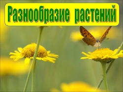 Презентация на тему "Разнообразие растений" - Класс учебник | Академический школьный учебник скачать | Сайт школьных книг учебников uchebniki.org.ua