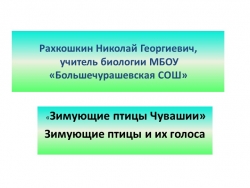 Презентация по биологии "Зимующие птицы" - Класс учебник | Академический школьный учебник скачать | Сайт школьных книг учебников uchebniki.org.ua