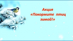 Акция "Покормите птиц зимой!" - Класс учебник | Академический школьный учебник скачать | Сайт школьных книг учебников uchebniki.org.ua