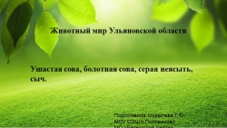 Материал к занятию по программе внеурочной деятельности "Животный мир Ульяновской области Ушастая сова, болотная сова, серая неясыть, сыч. - Класс учебник | Академический школьный учебник скачать | Сайт школьных книг учебников uchebniki.org.ua