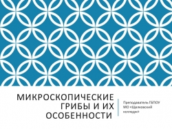 Презентация на тему "Микроскопические грибы и их особенности" - Класс учебник | Академический школьный учебник скачать | Сайт школьных книг учебников uchebniki.org.ua