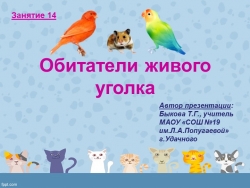 Зеленая тропинка . А.А. Плешаков. Тема 14 "Обитатели живого уголка" - Класс учебник | Академический школьный учебник скачать | Сайт школьных книг учебников uchebniki.org.ua