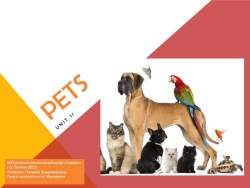 Презентация на тему "My pets + I have got" - Класс учебник | Академический школьный учебник скачать | Сайт школьных книг учебников uchebniki.org.ua