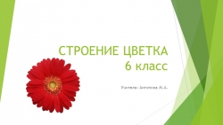 Презентация 6 класс "Строение цветка" - Класс учебник | Академический школьный учебник скачать | Сайт школьных книг учебников uchebniki.org.ua