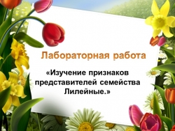 Презентация урока биологии Лабораторная работа "Семейство Лилейные" 7 класс - Класс учебник | Академический школьный учебник скачать | Сайт школьных книг учебников uchebniki.org.ua