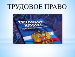 Презентация "Трудовое право" 11 класс - Класс учебник | Академический школьный учебник скачать | Сайт школьных книг учебников uchebniki.org.ua