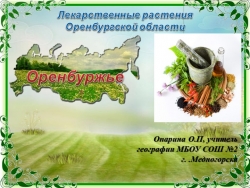 Лекарственные растения Оренбургской области - Класс учебник | Академический школьный учебник скачать | Сайт школьных книг учебников uchebniki.org.ua