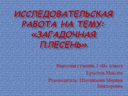 Исследовательская работа "загадочная плесень" - Класс учебник | Академический школьный учебник скачать | Сайт школьных книг учебников uchebniki.org.ua