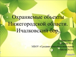 Ичалковский бор. Нижегородская область. - Класс учебник | Академический школьный учебник скачать | Сайт школьных книг учебников uchebniki.org.ua