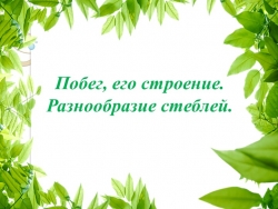 Побег, строение и значение 6 класс - Класс учебник | Академический школьный учебник скачать | Сайт школьных книг учебников uchebniki.org.ua