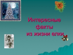 Презентация по экологии "Интересные факты из жизни ели" - Класс учебник | Академический школьный учебник скачать | Сайт школьных книг учебников uchebniki.org.ua