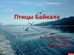 Презентация на тему "Птицы Байкала" - Класс учебник | Академический школьный учебник скачать | Сайт школьных книг учебников uchebniki.org.ua